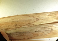 Ligules