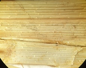 Leaf sheaths