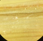 Leaf underside