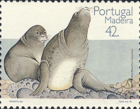 Monachus monachus Monachus monachus