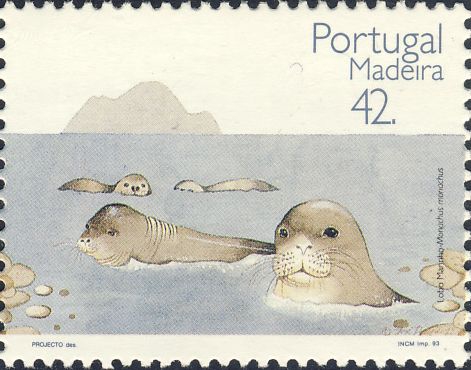 Monachus monachus Monachus monachus