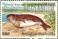 Mammalia (mammals)