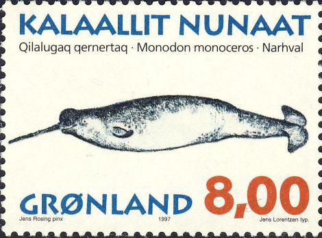 Monodon monoceros Monodon monoceros