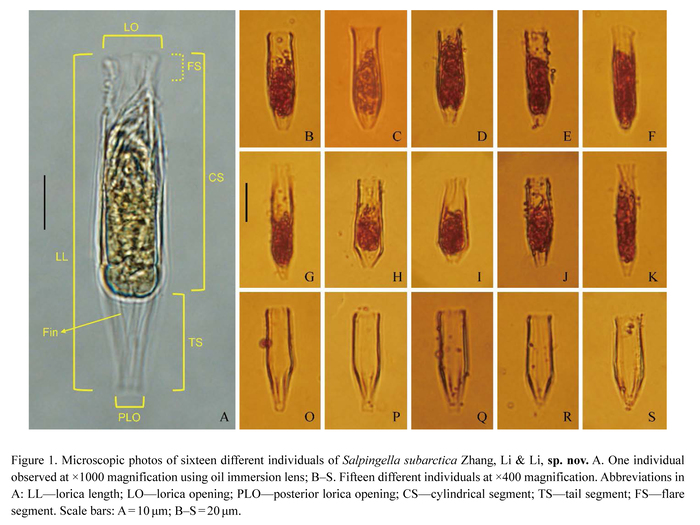 From Zhang et al. 2025