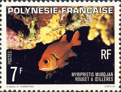Myripristis murdjan Myripristis murdjan