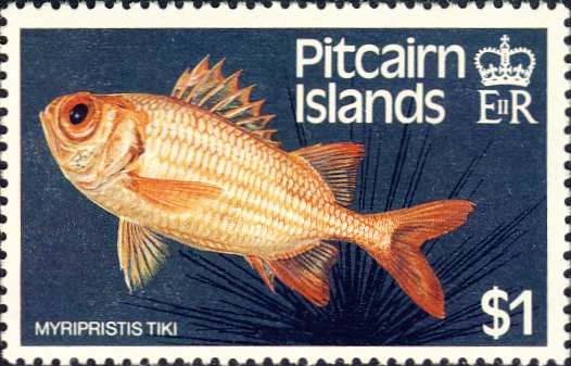 Myripristis tiki Myripristis tiki