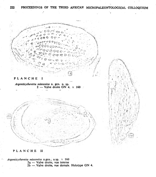  Rossi De Garcia, 1969 from the original description