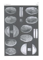 Argenticytheretta laevipunctata Sanguinetti, Ornellas & Coimbra, 1991 and Argenticytheretta variabilis Sanguinetti, Ornellas & Coimbra, 1991 from the original description