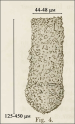 Figure from Levander 1900