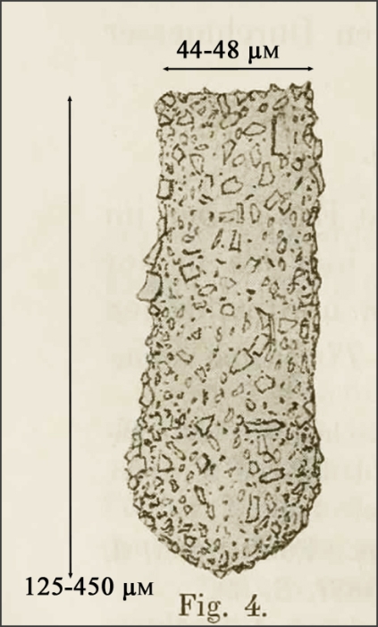 Figure from Levander 1900