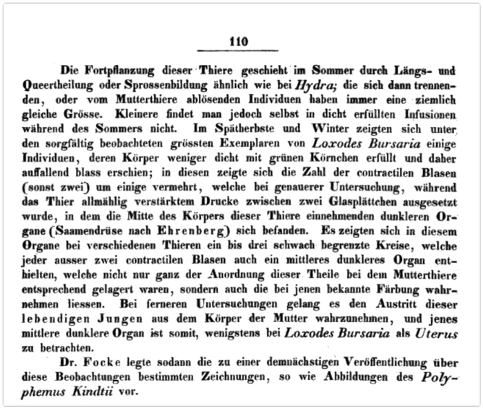 orig. description p.110