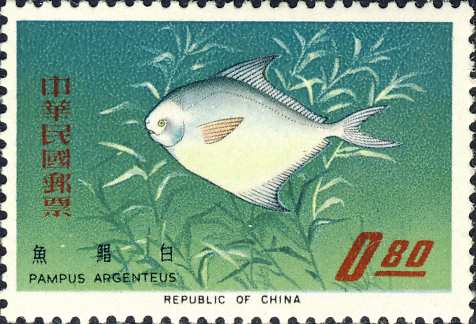 Pampus argenteus Pampus argenteus