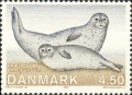 Mammalia (mammals)