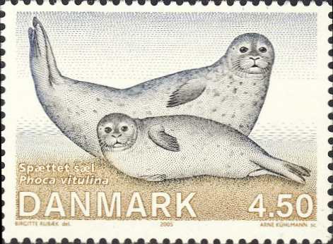 Phoca vitulina Phoca vitulina