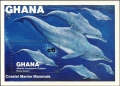 Mammalia (mammals)