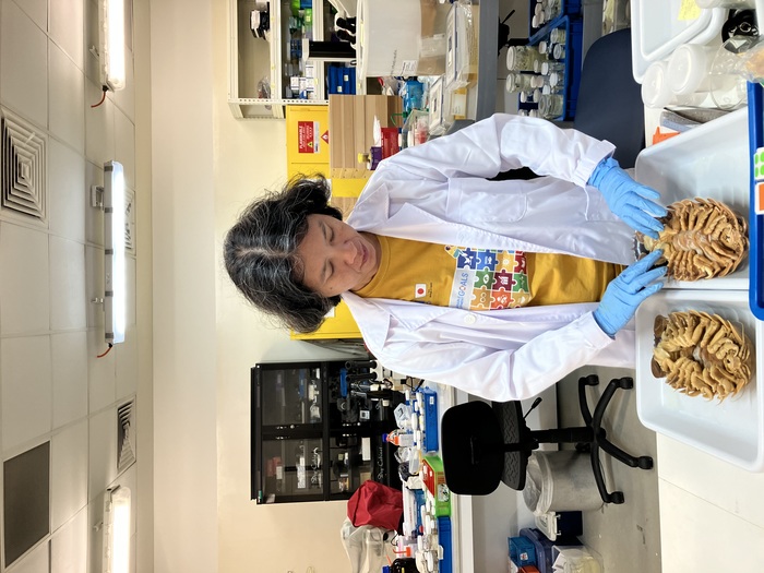 Bathynomus vaderi Ng, Sidabalok &amp; Nguyen, 2025