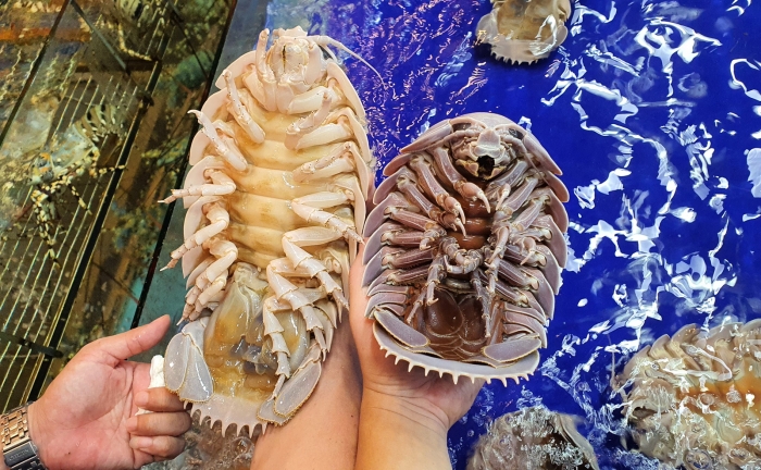 Bathynomus vaderi Ng, Sidabalok &amp; Nguyen, 2025