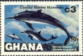 Mammalia (mammals)