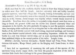 Description of Limnicythere fijiensis Brady, 1890