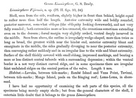Description of Limnicythere fijiensis Brady, 1890