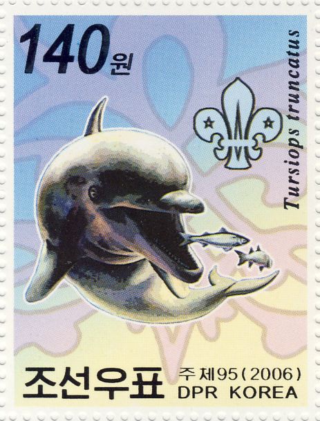 Tursiops truncatus