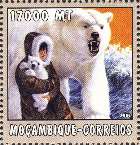 Ursus maritimus Ursus maritimus