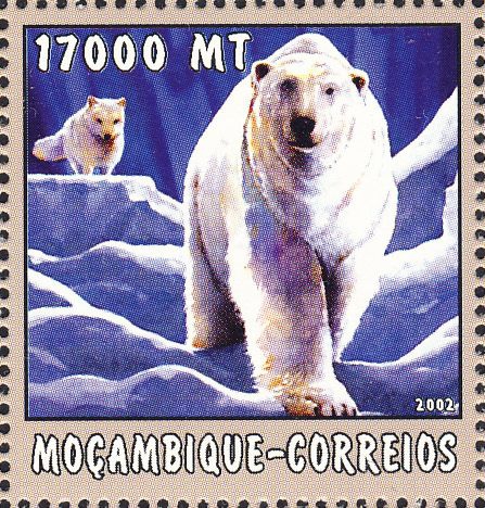 Ursus maritimus Ursus maritimus