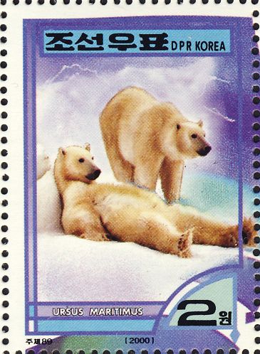 Ursus maritimus Ursus maritimus