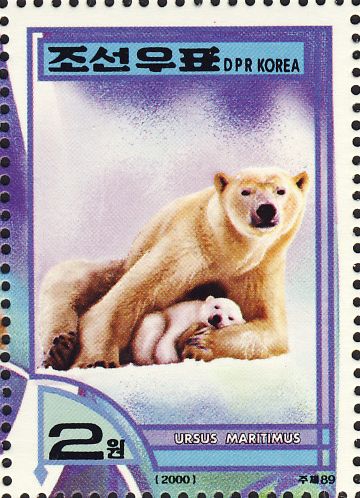 Ursus maritimus Ursus maritimus