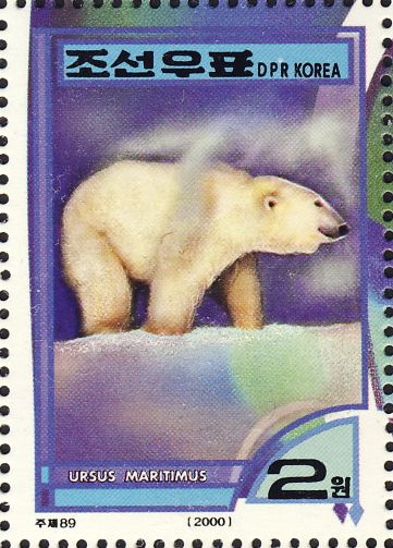 Ursus maritimus Ursus maritimus