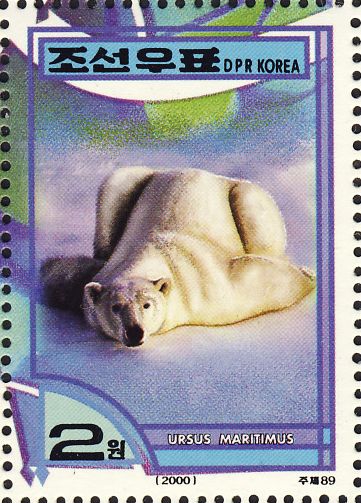 Ursus maritimus Ursus maritimus