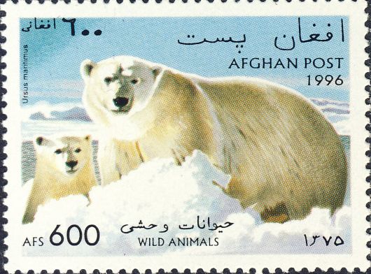 Ursus maritimus Ursus maritimus