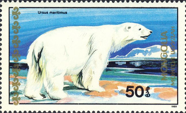 Ursus maritimus Ursus maritimus