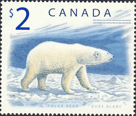 Ursus maritimus Ursus maritimus