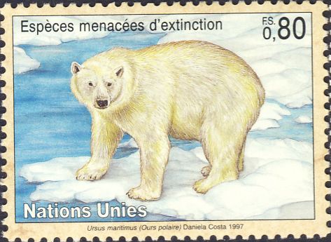 Ursus maritimus Ursus maritimus
