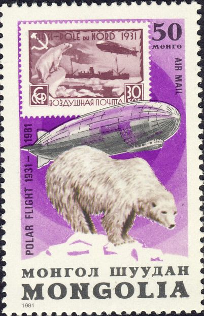 Ursus maritimus Ursus maritimus