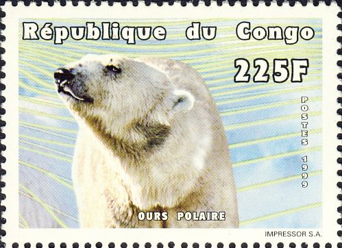 Ursus maritimus Ursus maritimus