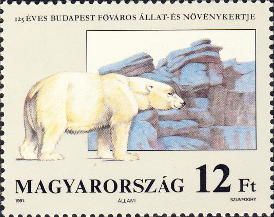 Ursus maritimus Ursus maritimus