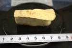 Paratype HBOM 003:02008