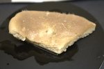 Holotype HBOM 003:02000