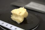 Holotype HBOM 003:02012
