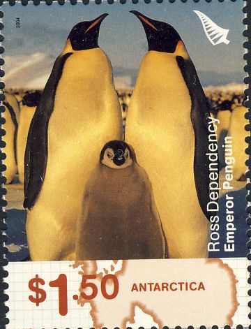 Aptenodytes forsteri Aptenodytes forsteri