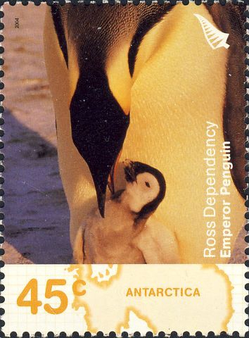 Aptenodytes forsteri Aptenodytes forsteri