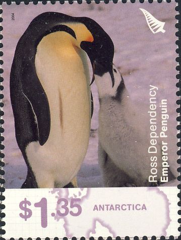 Aptenodytes forsteri Aptenodytes forsteri
