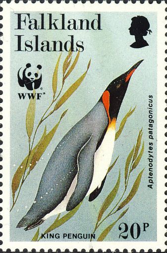 Aptenodytes patagonicus Aptenodytes patagonicus