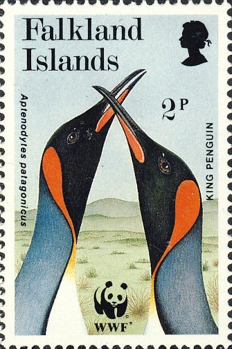 Aptenodytes patagonicus Aptenodytes patagonicus