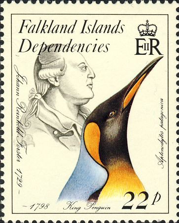 Aptenodytes patagonicus Aptenodytes patagonicus