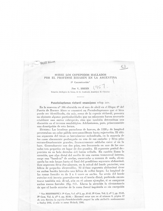 Pseudodiaptomus richardi emancipans Pseudodiaptomus richardi emancipans