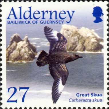 Stercorarius skua Stercorarius skua