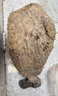 Vazella with stone
